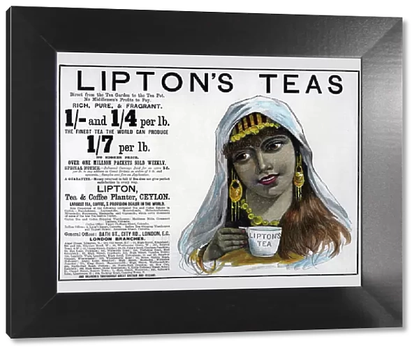 Liptons Teas advertisement, 1893