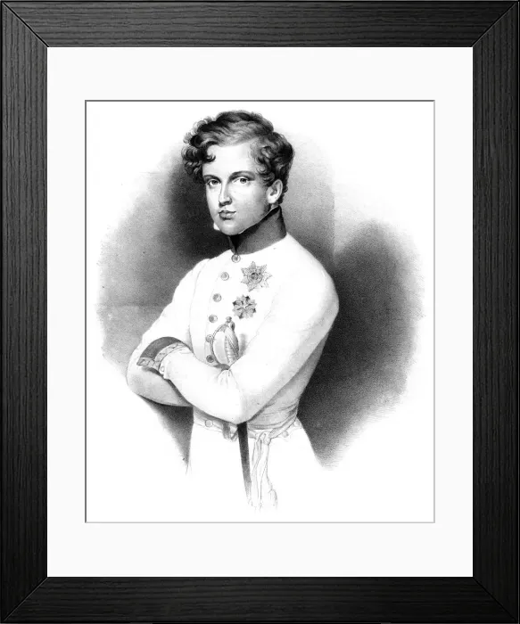 Framed Print : Napoleon Francois Joseph Charles Bonaparte Framed Print : Napoleon Francois Joseph Charles Bonaparte