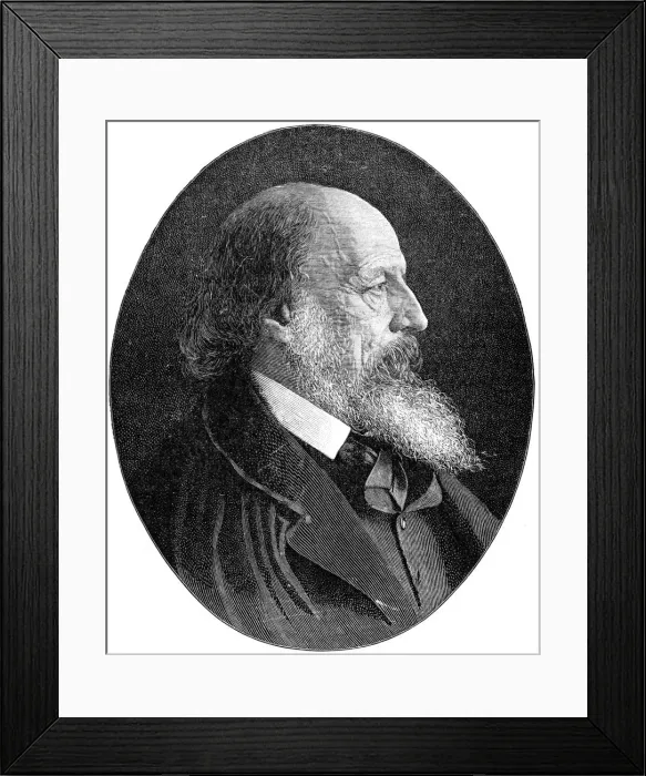 Framed Print : Alfred Tennyson, 1st Baron Tennyson, Poet Laureate, 1900. Artist: H Cameron Framed Print : Alfred Tennyson, 1st Baron Tennyson, Poet Laureate, 1900. Artist: H Cameron