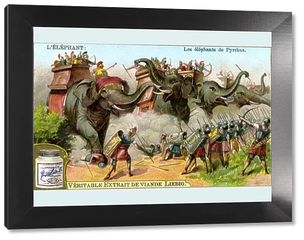 The Elephants of Pyrrhus, c1900