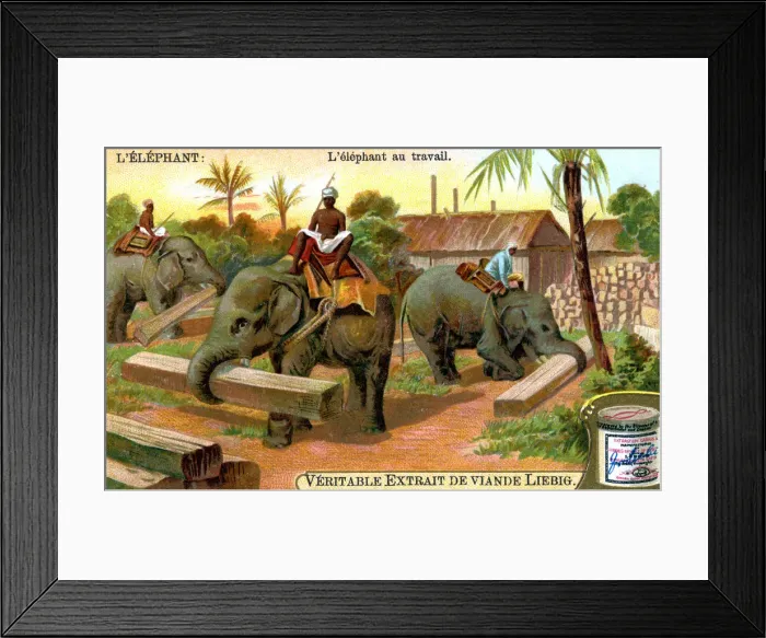 Framed Print : The Elephant at Work, c1900 Framed Print : The Elephant at Work, c1900