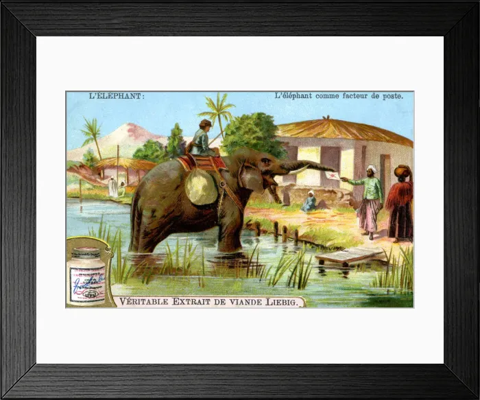 Framed Print : The Elephant as postman, c1900 Framed Print : The Elephant as postman, c1900
