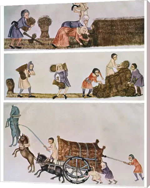Reaping, carrying, and carting, c1300-1340, (c1900-1920)