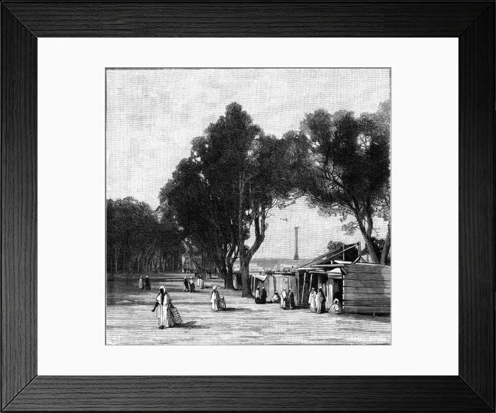 Framed Print : Street scene with Pompeys Pillar in the distance, Alexandria, Egypt, 1900 Framed Print : Street scene with Pompeys Pillar in the distance, Alexandria, Egypt, 1900