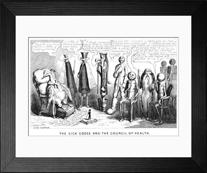 Framed Print : The Sick Goose and the Council of Health, 19th century. Artist: George Cruikshank Framed Print : The Sick Goose and the Council of Health, 19th century. Artist: George Cruikshank