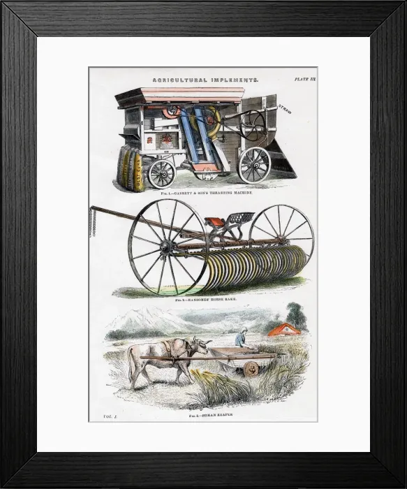 Framed Print : Agricultural implements, 19th century Framed Print : Agricultural implements, 19th century