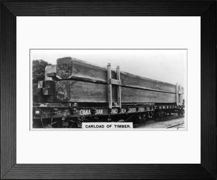 Framed Print : Carload of Douglas fir, Canada, c1920s Framed Print : Carload of Douglas fir, Canada, c1920s