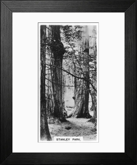 Framed Print : Stanley Park, Vancouver, Canada, c1920s Framed Print : Stanley Park, Vancouver, Canada, c1920s