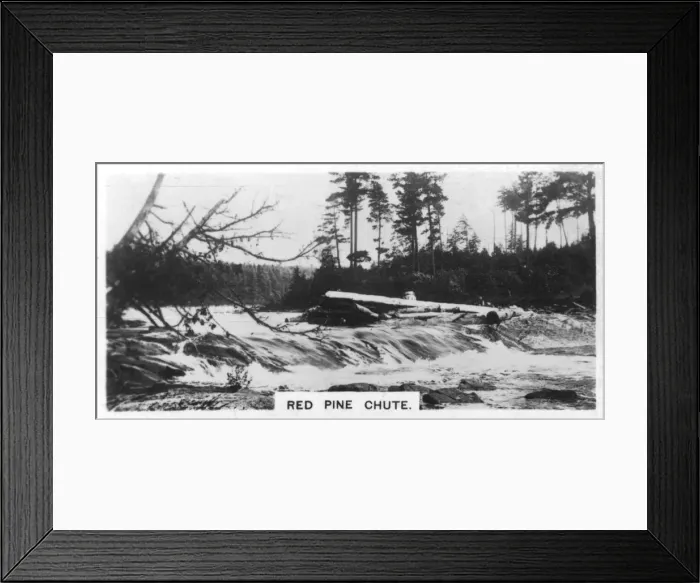 Framed Print : Red Pine Chute, Canada, c1920s Framed Print : Red Pine Chute, Canada, c1920s