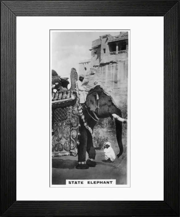 Framed Print : Government elephant in state costume, South India, c1925 Framed Print : Government elephant in state costume, South India, c1925