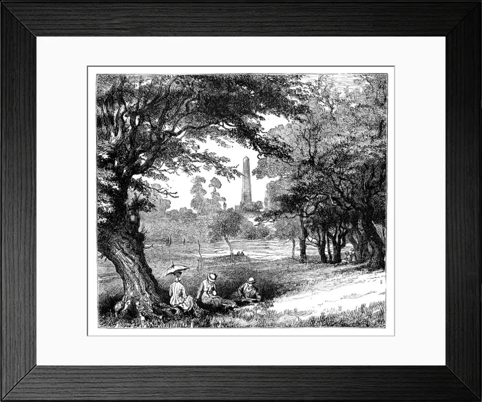 Framed Print : Phoenix Park, Dublin, c1888 Framed Print : Phoenix Park, Dublin, c1888