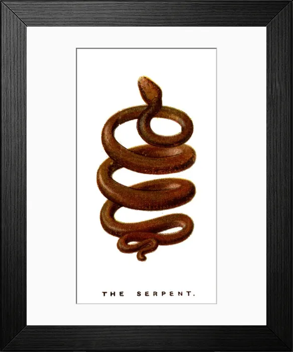 Framed Print : The Serpent, 1923 Framed Print : The Serpent, 1923