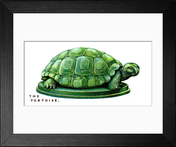 Framed Print : The Tortoise, 1923 Framed Print : The Tortoise, 1923