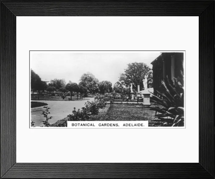 Framed Print : Botanical Gardens, Adelaide, Australia, 1928 Framed Print : Botanical Gardens, Adelaide, Australia, 1928