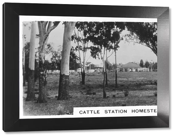 Cattle station homestead, Australia, 1928