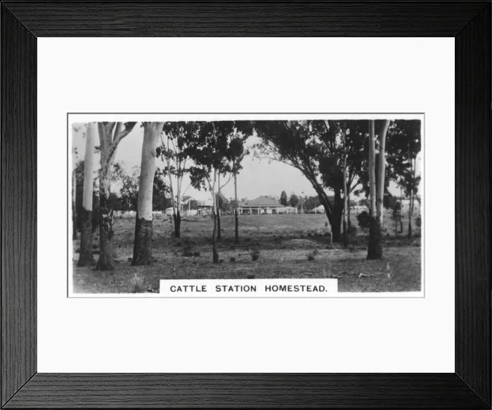 Framed Print : Cattle station homestead, Australia, 1928 Framed Print : Cattle station homestead, Australia, 1928