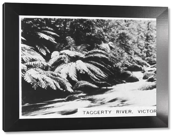 Taggerty River, Victoria, Australia, 1928