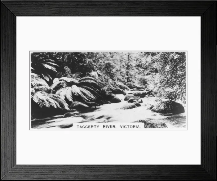 Framed Print : Taggerty River, Victoria, Australia, 1928 Framed Print : Taggerty River, Victoria, Australia, 1928