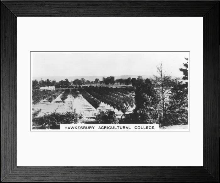 Framed Print : Hawkesbury Agricultural College, New South Wales, Australia, 1928 Framed Print : Hawkesbury Agricultural College, New South Wales, Australia, 1928