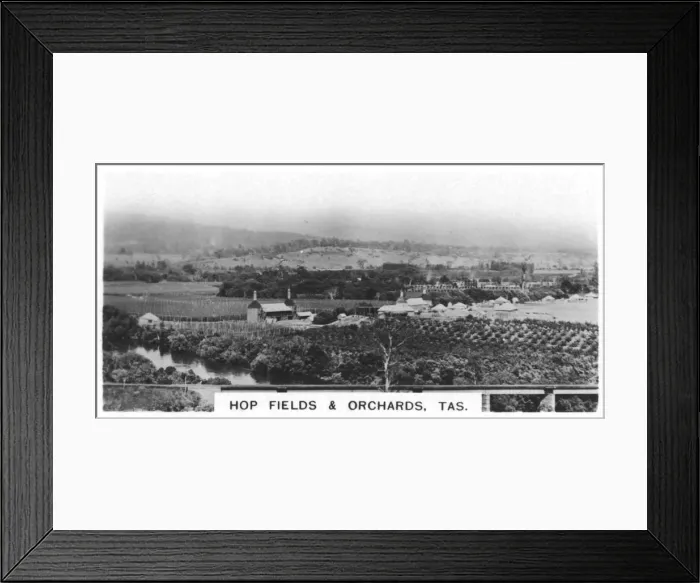 Framed Print : Hop fields and orchards, Tasmania, Australia, 1928 Framed Print : Hop fields and orchards, Tasmania, Australia, 1928