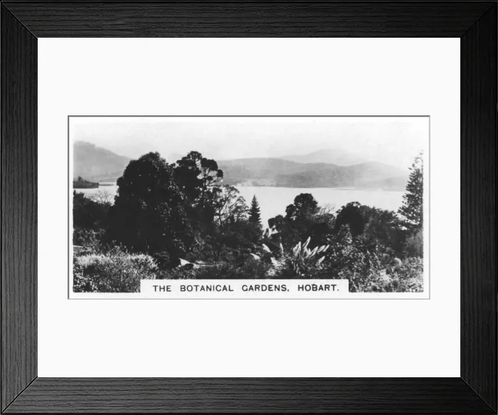 Framed Print : The Botanical Gardens, Hobart, Tasmania, 1928 Framed Print : The Botanical Gardens, Hobart, Tasmania, 1928