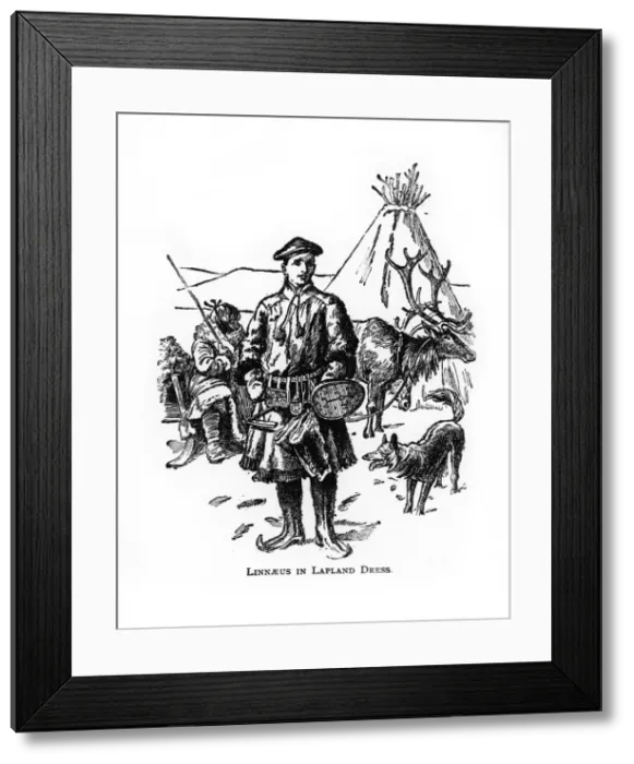 Framed Print : Carolus Linnaeus, 18th century Swedish botanist, physician and zoologist, (20th century) Framed Print : Carolus Linnaeus, 18th century Swedish botanist, physician and zoologist, (20th century)