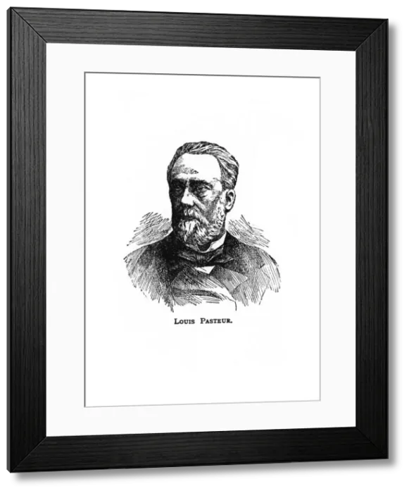 Framed Print : Louis Pasteur, 19th century French microbiologist and chemist, (20th century) Framed Print : Louis Pasteur, 19th century French microbiologist and chemist, (20th century)