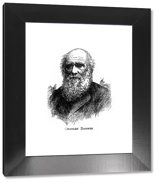 Charles Darwin, 19th century British naturalist, (20th century)