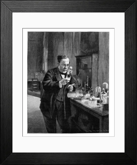 Framed Print : Louis Pasteur, 19th century French microbiologist and chemist, (1900) Framed Print : Louis Pasteur, 19th century French microbiologist and chemist, (1900)