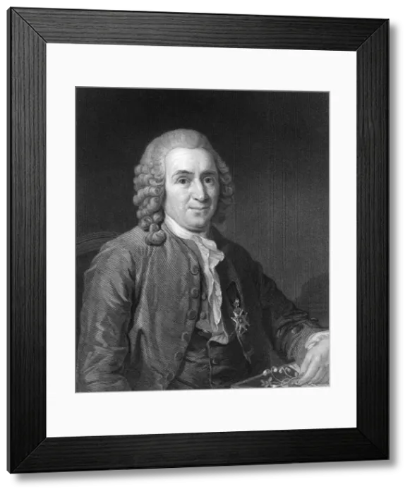 Framed Print : Carolus Linnaeus, 18th century Swedish naturalist, (1836). Artist: CE Wagstaff Framed Print : Carolus Linnaeus, 18th century Swedish naturalist, (1836). Artist: CE Wagstaff