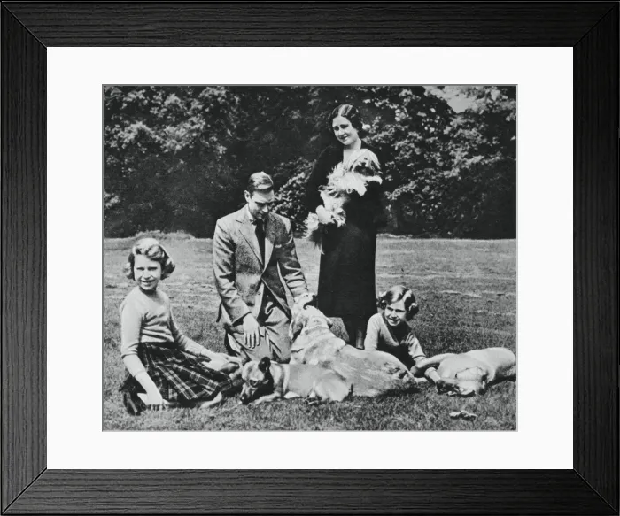 Framed Print : Royal family as a happy group of dog lovers, 1937. Artist: Michael Chance Framed Print : Royal family as a happy group of dog lovers, 1937. Artist: Michael Chance