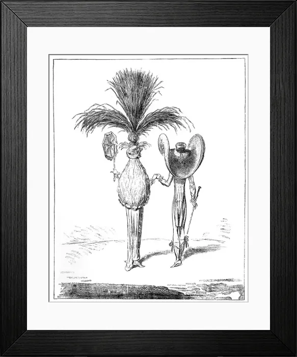 Framed Print : Parasols for 1795 Framed Print : Parasols for 1795
