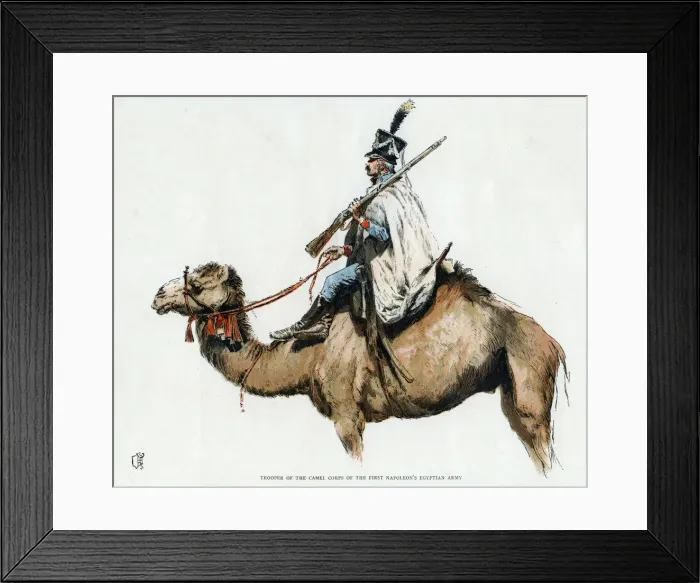 Framed Print : Trooper of the camel corps of the First Napoleons Egyptian Army, 1790s (20th century) Framed Print : Trooper of the camel corps of the First Napoleons Egyptian Army, 1790s (20th century)