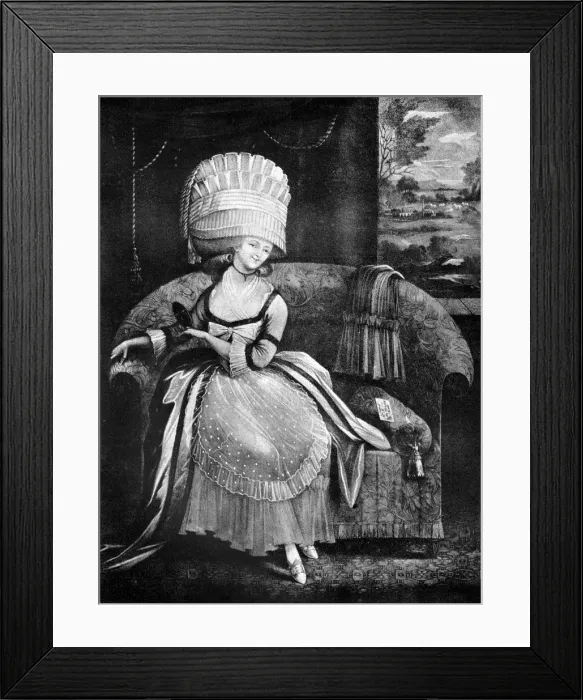 Framed Print : The Bird of Paradise, 1772 Framed Print : The Bird of Paradise, 1772