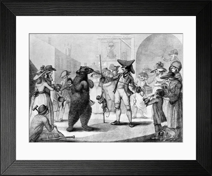 Framed Print : Dancing Bear, 1785. Artist: C Knight Framed Print : Dancing Bear, 1785. Artist: C Knight