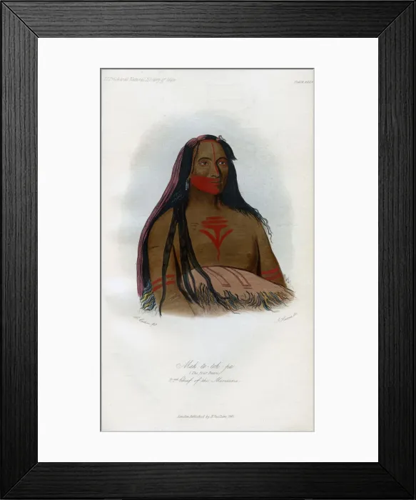 Framed Print : Mah-to-toh-pa, (The Four Bears), 2nd Chief of the Mandans, 1848. Artist: Harris Framed Print : Mah-to-toh-pa, (The Four Bears), 2nd Chief of the Mandans, 1848. Artist: Harris