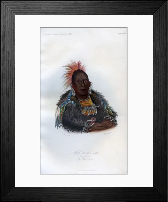 Framed Print : Wah-ro-nee-sah, The Surrounder, An Otoe Chief, 1848. Artist: Harris Framed Print : Wah-ro-nee-sah, The Surrounder, An Otoe Chief, 1848. Artist: Harris