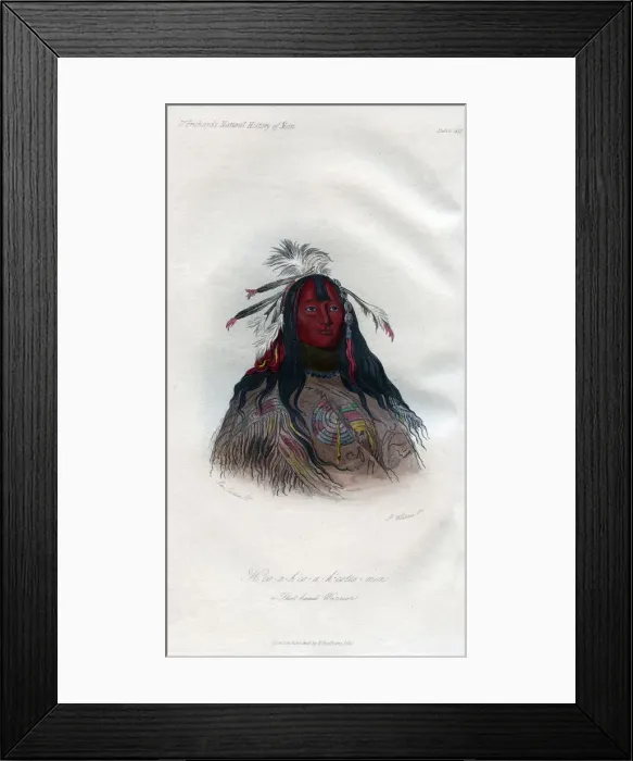 Framed Print : Heo-a-h co-a-h -cotes-min, a Flat head Warrior, 1848. Artist: Harris Framed Print : Heo-a-h co-a-h -cotes-min, a Flat head Warrior, 1848. Artist: Harris