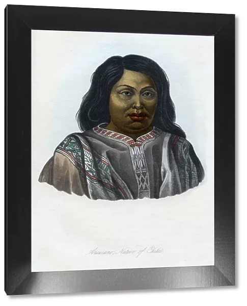 Araucano, Native of Chili, 1848