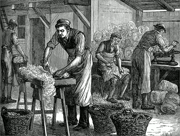 Wool sorters, c1880
