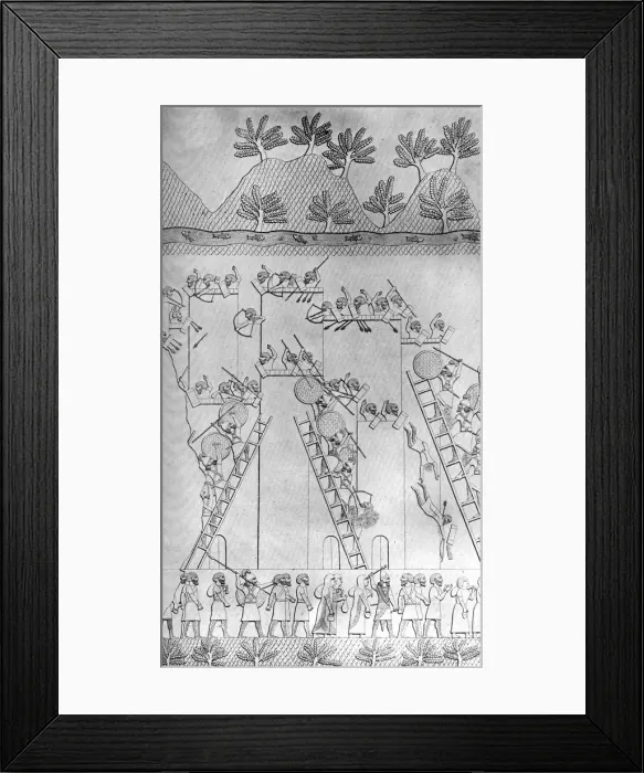 Framed Print : A city taken by assault by the Assyrians, c1853, (c1900-1920) Framed Print : A city taken by assault by the Assyrians, c1853, (c1900-1920)