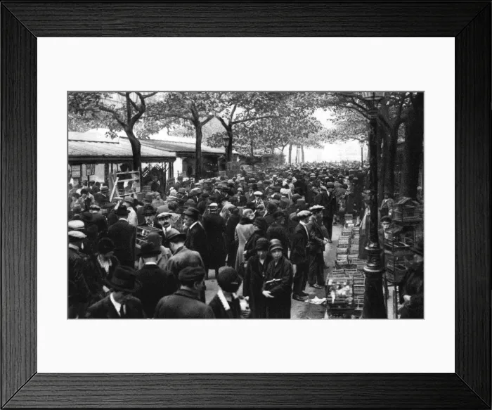 Framed Print : General view of the bird market, Paris, 1931. Artist: Ernest Flammarion Framed Print : General view of the bird market, Paris, 1931. Artist: Ernest Flammarion