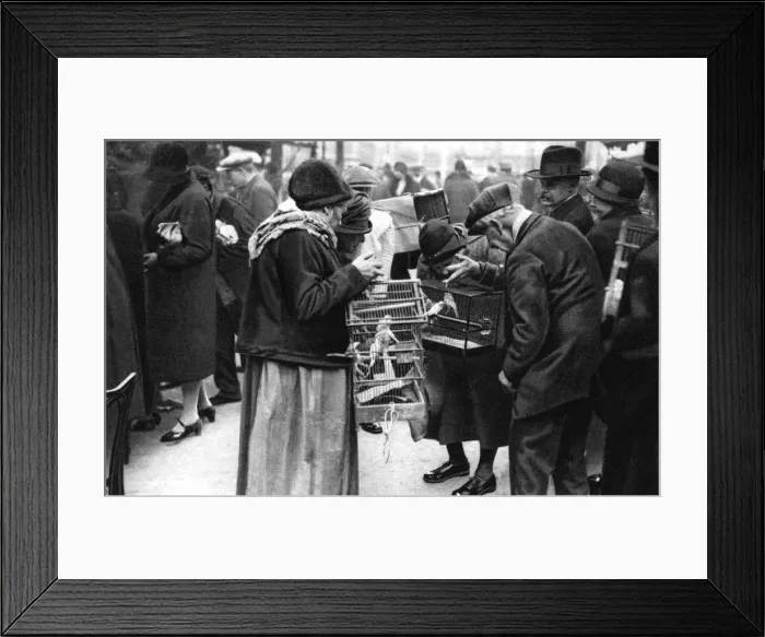 Framed Print : A group of buyers of canaries, Paris, 1931. Artist: Ernest Flammarion Framed Print : A group of buyers of canaries, Paris, 1931. Artist: Ernest Flammarion