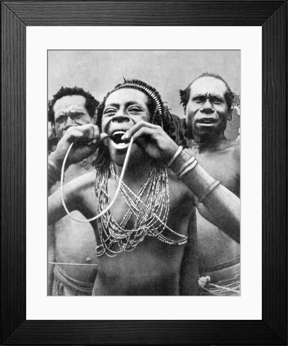 Framed Print : Swallowing canes in a ceremonial ritual, New Guinea, 1936. Artist: Wide World Photos Framed Print : Swallowing canes in a ceremonial ritual, New Guinea, 1936. Artist: Wide World Photos