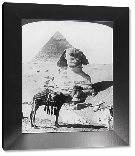 The Great Sphinx of Giza, Egypt, 1905. Artist: Underwood & Underwood