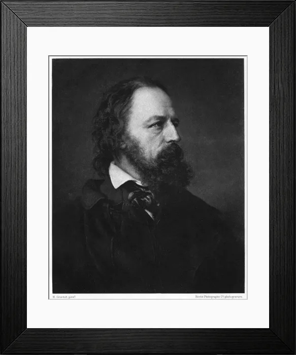 Framed Print : Alfred Tennyson, 1st Baron Tennyson (1809-1892), English poet, 1893. Artist: Berlin Photographic Co Framed Print : Alfred Tennyson, 1st Baron Tennyson (1809-1892), English poet, 1893. Artist: Berlin Photographic Co