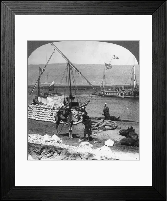 Framed Print : Dahabiyehs on the river ready for a Nile voyage, Egypt, 1905. Artist: Underwood & Underwood Framed Print : Dahabiyehs on the river ready for a Nile voyage, Egypt, 1905. Artist: Underwood & Underwood