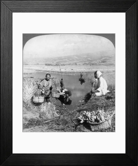 Framed Print : Men gathering rushes near Suzukawa, Fujiyama, Japan, 1904. Artist: Underwood & Underwood Framed Print : Men gathering rushes near Suzukawa, Fujiyama, Japan, 1904. Artist: Underwood & Underwood