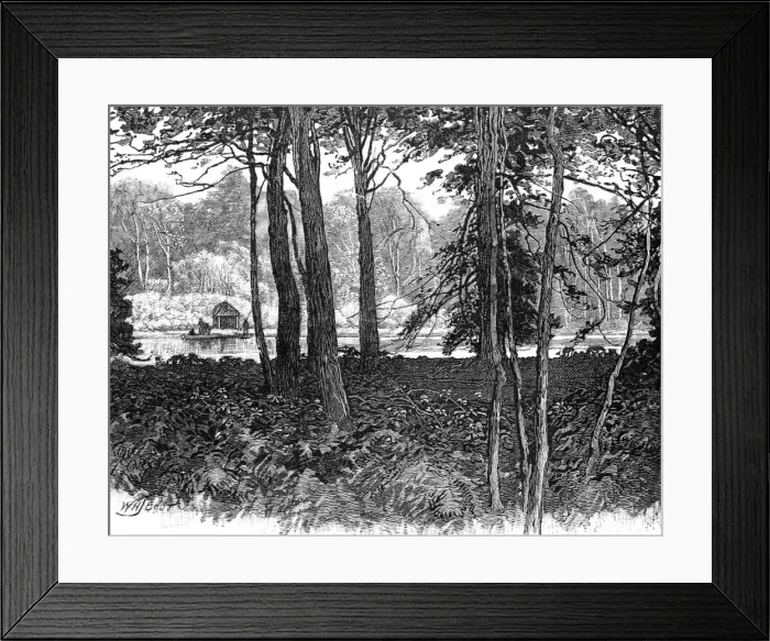 Framed Print : View in Claremont Park, Surrey, 1900 Framed Print : View in Claremont Park, Surrey, 1900