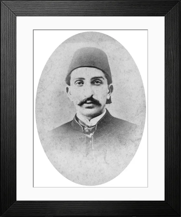 Framed Print : The Sultan of Turkey, c1880. Artist: London Stereoscopic & Photographic Co Framed Print : The Sultan of Turkey, c1880. Artist: London Stereoscopic & Photographic Co